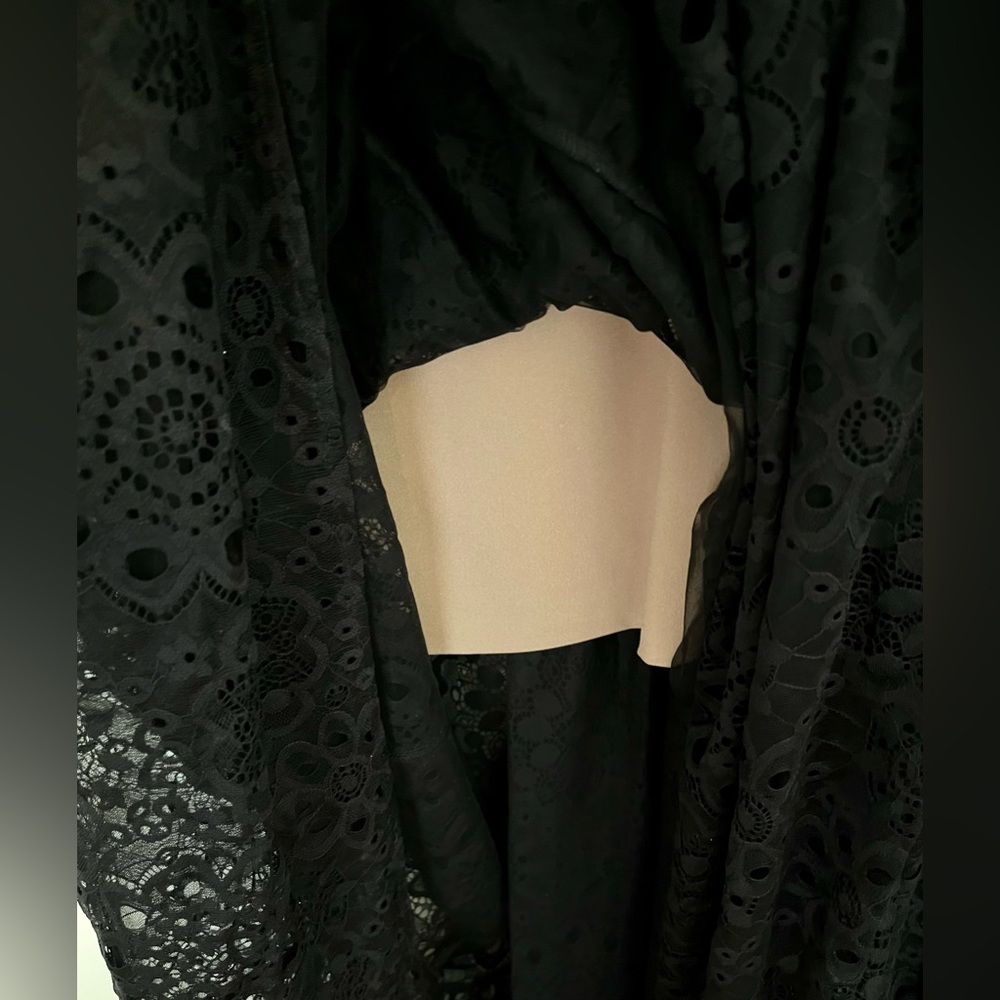 Dress the Population Melina Black Lace Overlay Dress, Sz S - Picture 5 of 5